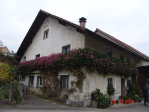 Risssanierung und Malerarbeiten in Windlach