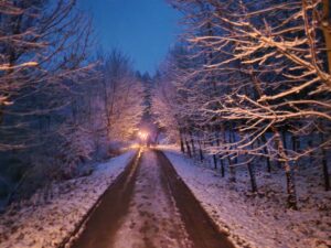 Weihnachtsessen 2022 Kurz AG