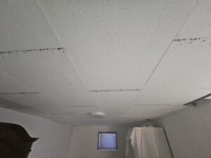 Kellerdeckendämmung in Seuzach